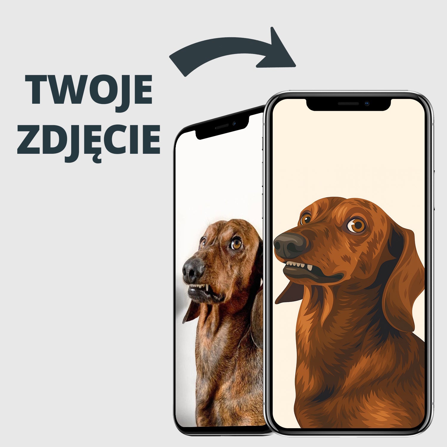 Ilustrowany wektorowy portret zwierzaka